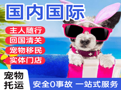 漠河机场快递国际宠物托运 【国